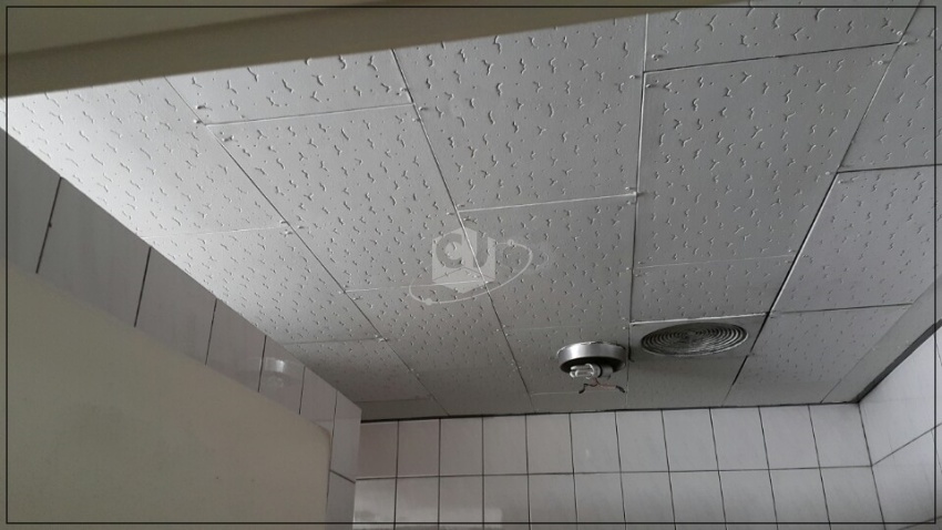 65008231544cc475e3515a9d13bbb63f_1619507537_3419.jpg 65008231544cc475e3515a9d13bbb63f_1619507537_3419.jpg