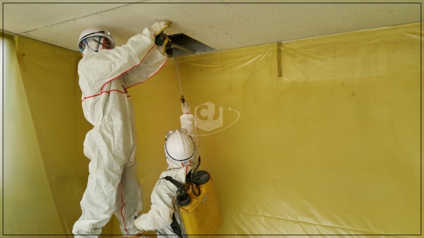 65008231544cc475e3515a9d13bbb63f_1619507806_4704.jpg 65008231544cc475e3515a9d13bbb63f_1619507806_4704.jpg