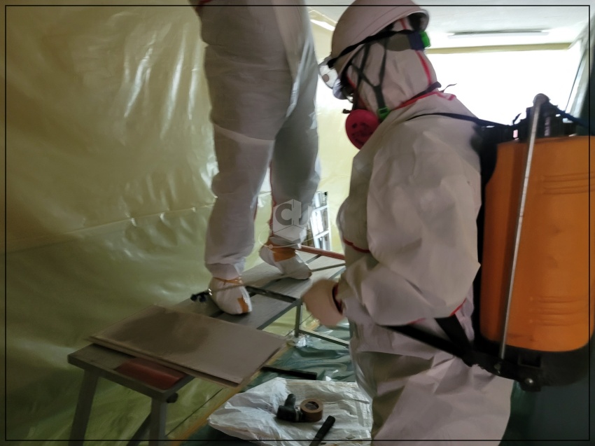 03904b7bdeeef23a0546a377a325832b_1622182951_8552.jpg 03904b7bdeeef23a0546a377a325832b_1622182951_8552.jpg