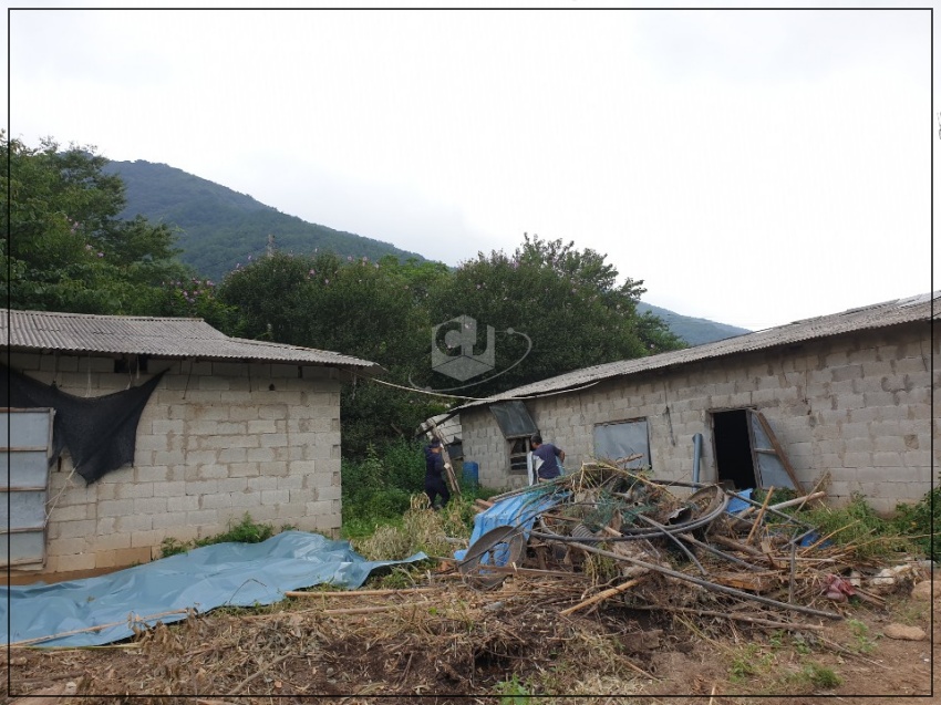 163b0d7979f87875337a2902be3b1f75_1620873227_6473.jpg 163b0d7979f87875337a2902be3b1f75_1620873227_6473.jpg