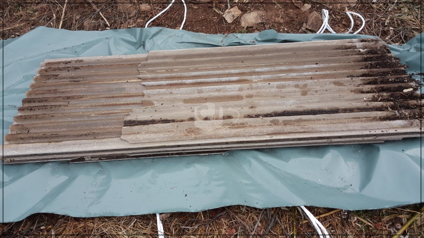 163b0d7979f87875337a2902be3b1f75_1620873227_7323.jpg 163b0d7979f87875337a2902be3b1f75_1620873227_7323.jpg