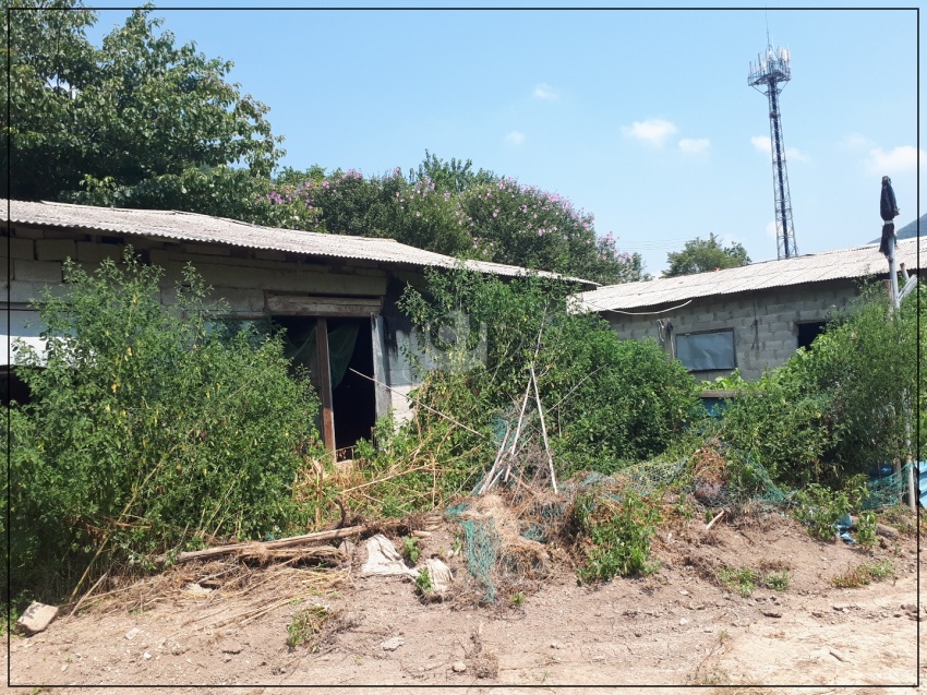 163b0d7979f87875337a2902be3b1f75_1620873227_8882.jpg 163b0d7979f87875337a2902be3b1f75_1620873227_8882.jpg