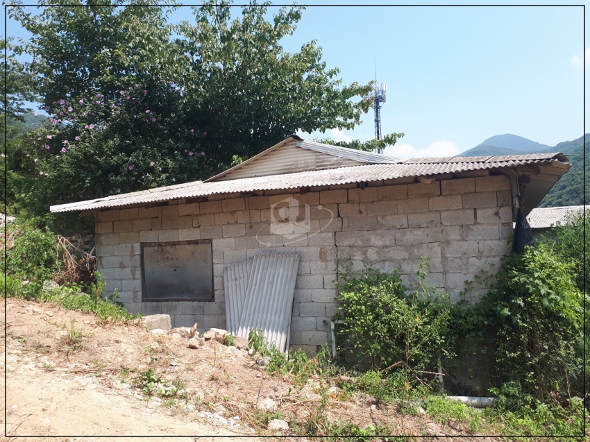 163b0d7979f87875337a2902be3b1f75_1620873227_9853.jpg 163b0d7979f87875337a2902be3b1f75_1620873227_9853.jpg