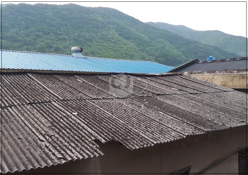 31574dd7c2b3d72876f621c687c394da_1620624648_1885.jpg 31574dd7c2b3d72876f621c687c394da_1620624648_1885.jpg