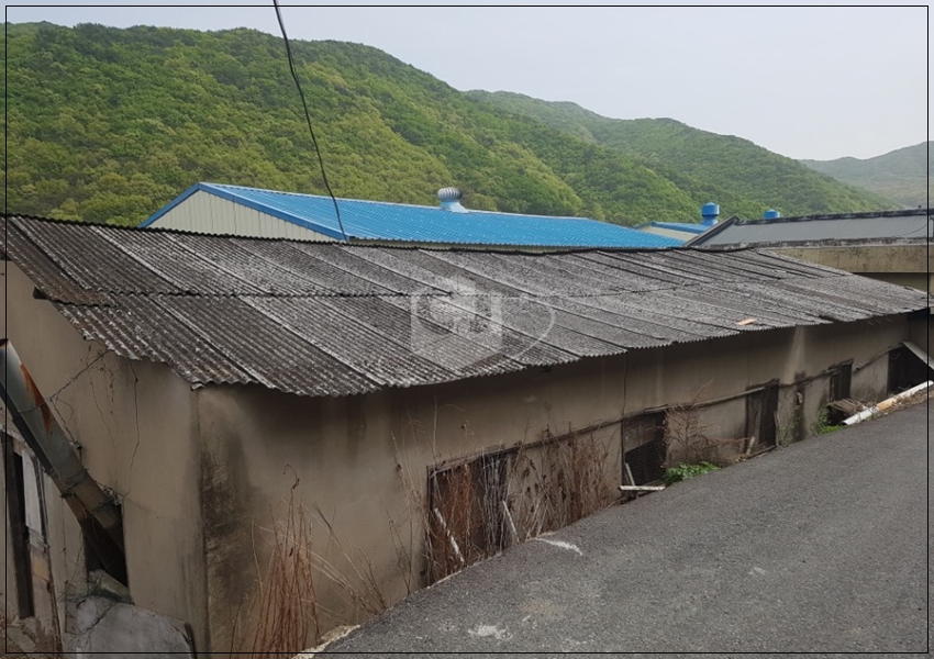 31574dd7c2b3d72876f621c687c394da_1620624648_3076.jpg 31574dd7c2b3d72876f621c687c394da_1620624648_3076.jpg