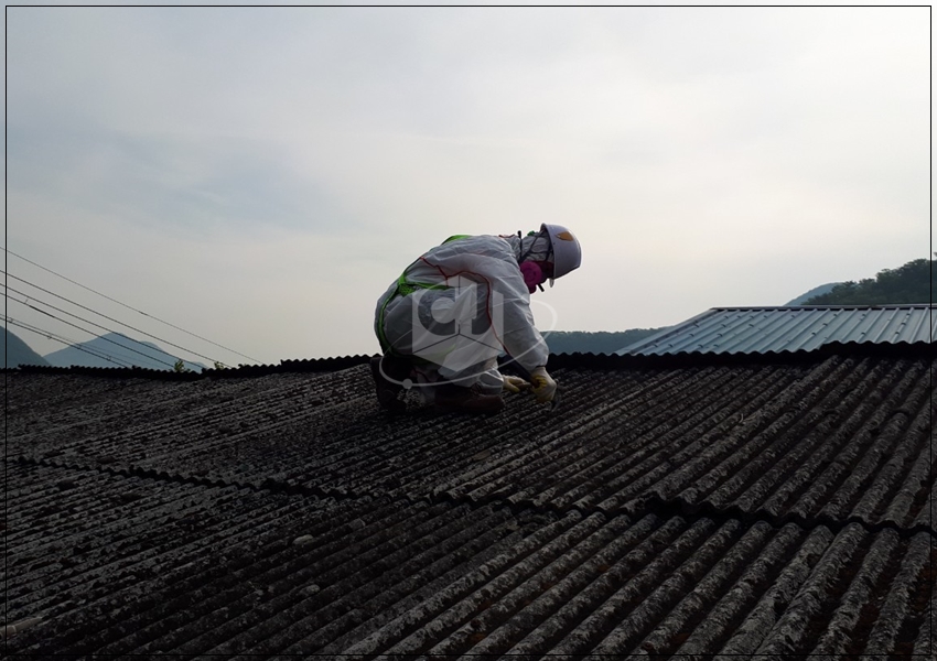 31574dd7c2b3d72876f621c687c394da_1620624648_5884.jpg 31574dd7c2b3d72876f621c687c394da_1620624648_5884.jpg