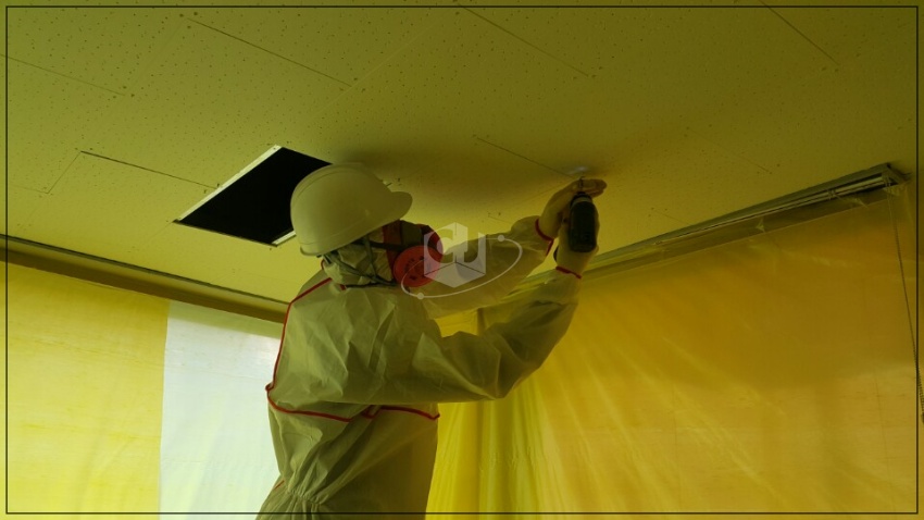 63f262391153effaae59f1c9b30cd249_1620104275_4772.jpg 63f262391153effaae59f1c9b30cd249_1620104275_4772.jpg