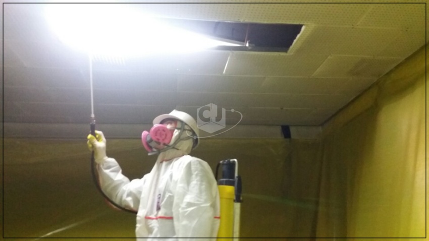 63f262391153effaae59f1c9b30cd249_1620104483_0689.jpg 63f262391153effaae59f1c9b30cd249_1620104483_0689.jpg