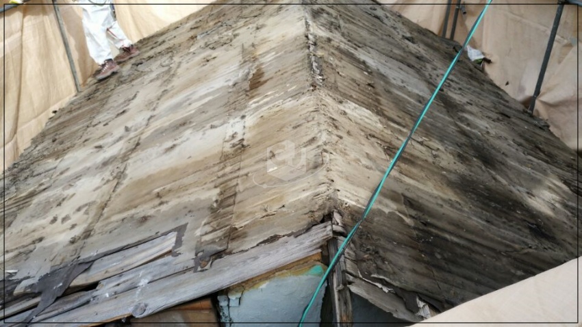 63f262391153effaae59f1c9b30cd249_1620108959_0058.jpg 63f262391153effaae59f1c9b30cd249_1620108959_0058.jpg