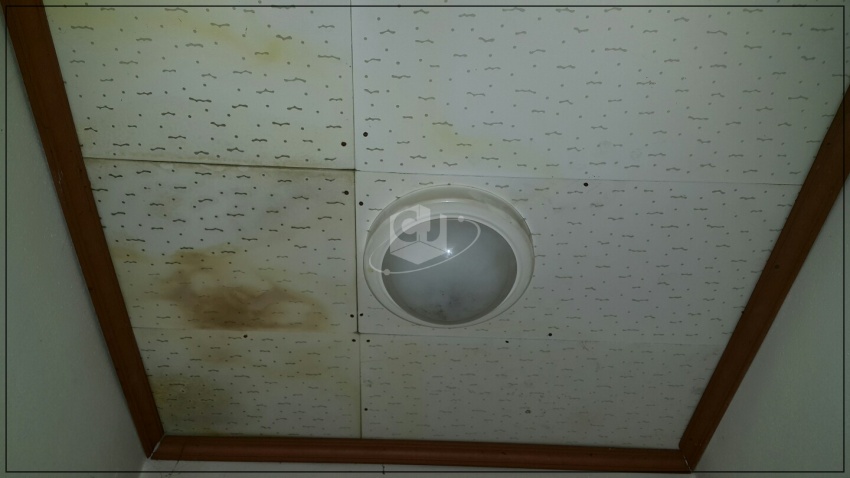 63f262391153effaae59f1c9b30cd249_1620112997_1413.jpg 63f262391153effaae59f1c9b30cd249_1620112997_1413.jpg