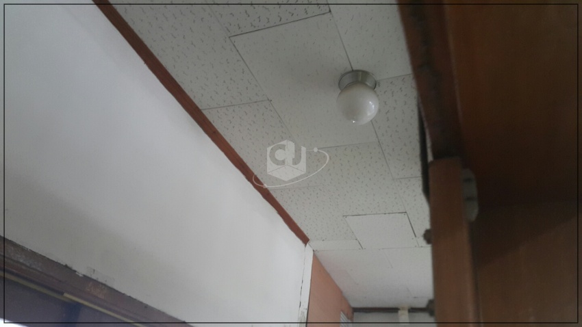 ee0eeb10583d4cf9f10cf4e894e0cc69_1620027044_5203.jpg ee0eeb10583d4cf9f10cf4e894e0cc69_1620027044_5203.jpg