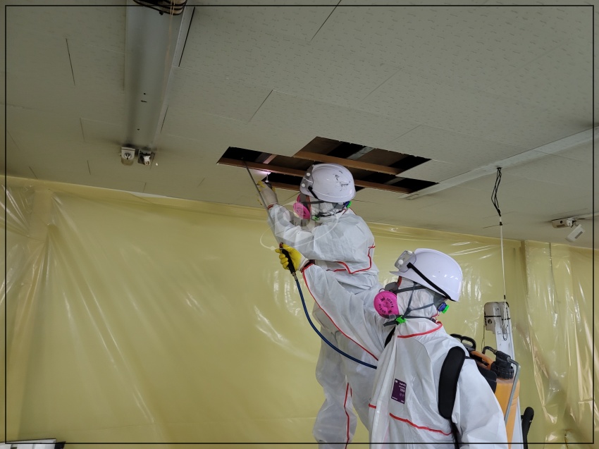 f595e251e54b6d246c065ad19ae28ef1_1622088518_0948.jpg f595e251e54b6d246c065ad19ae28ef1_1622088518_0948.jpg