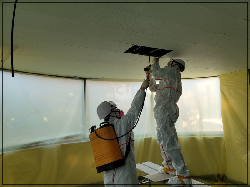 f595e251e54b6d246c065ad19ae28ef1_1622094553_4244.jpg f595e251e54b6d246c065ad19ae28ef1_1622094553_4244.jpg