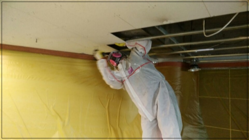 feb53900e84b96a066493b4e42e2972e_1620278400_8411.jpg feb53900e84b96a066493b4e42e2972e_1620278400_8411.jpg