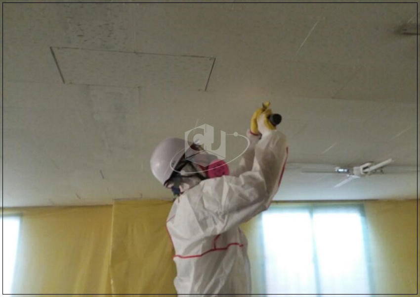 feb53900e84b96a066493b4e42e2972e_1620279043_6995.jpg feb53900e84b96a066493b4e42e2972e_1620279043_6995.jpg