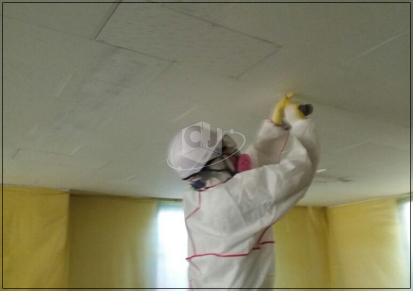 feb53900e84b96a066493b4e42e2972e_1620279043_8009.jpg feb53900e84b96a066493b4e42e2972e_1620279043_8009.jpg