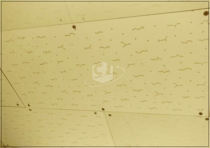 feb53900e84b96a066493b4e42e2972e_1620287275_312.jpg feb53900e84b96a066493b4e42e2972e_1620287275_312.jpg