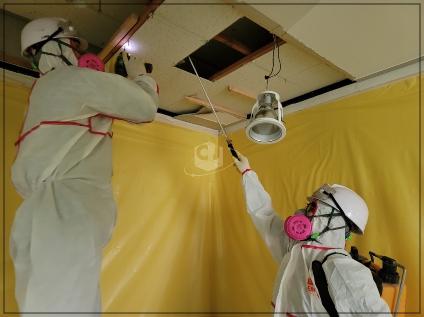 a4427106365ca45905c37a63189e417d_1624253587_3908.jpg a4427106365ca45905c37a63189e417d_1624253587_3908.jpg