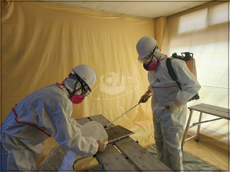 eff1b269952771257c539721ca8870f3_1725244285_5472.jpg eff1b269952771257c539721ca8870f3_1725244285_5472.jpg