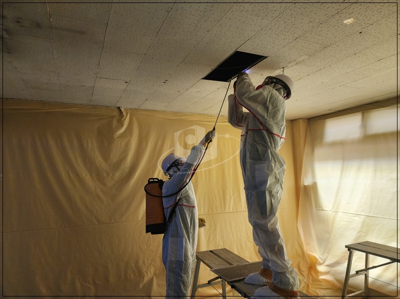 eff1b269952771257c539721ca8870f3_1725244285_6017.jpg eff1b269952771257c539721ca8870f3_1725244285_6017.jpg