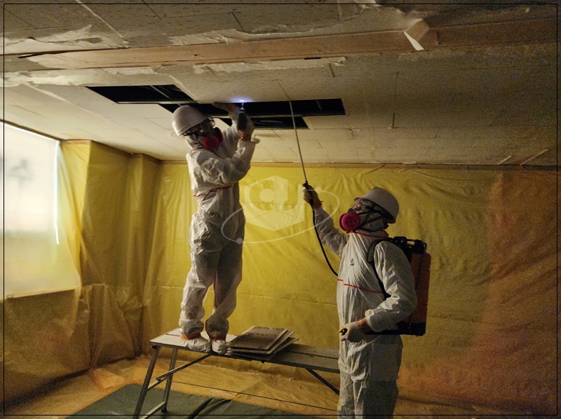 08900a8a42cb0c7e72a383e29a13472f_1729555692_2418.jpg 08900a8a42cb0c7e72a383e29a13472f_1729555692_2418.jpg